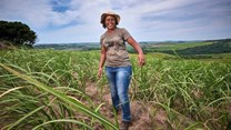 Tongaat Hulett celebrates women in sugar cane farming