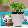 Checkers Little Garden is back, with locally-made seedling kits