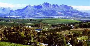 Visit Stellenbosch new initiative to stimulate town's tourism economy