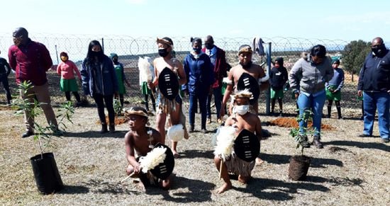 Lubisa Primary School traditional dance group performed the Jerusalema Dance, blending it with Zulu moves as part of their Arbour Day and Heritage Month celebration.