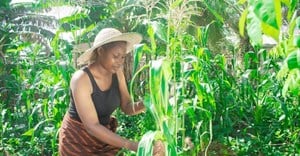 African farmers are younger than you think. Here is why