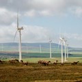 The West Coast One wind farm near Vredenburg has operated since 2015. Environment minister Barbara Creecy says the wake effect on this facility of a proposed new neighbouring wind farm must be investigated before it can also be approved. Photo: John Yeld
