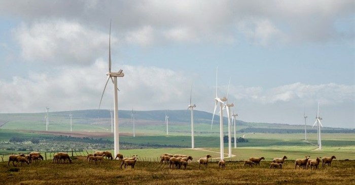 The West Coast One wind farm near Vredenburg has operated since 2015. Environment minister Barbara Creecy says the wake effect on this facility of a proposed new neighbouring wind farm must be investigated before it can also be approved. Photo: John Yeld