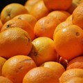 Citrus industry gets green light to export to the Philippines