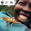2020 WWF Living Planet Report warns against business as usual