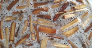 Honey-alcohol fermentation experiment with chopped “moerwortel” plant additive, Glia prolifera. Neil Rusch