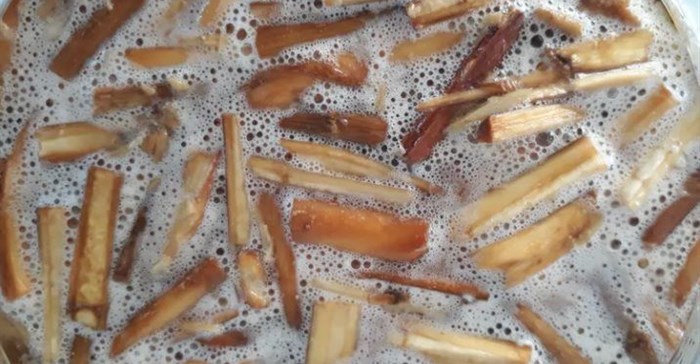Honey-alcohol fermentation experiment with chopped “moerwortel” plant additive, Glia prolifera. Neil Rusch