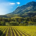 South Africa's land reform policies need to embrace social, economic and ecological sustainability