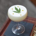 5 cocktail trends to look out for this Summer