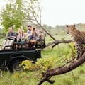 All you need to know about honeymooning in Kruger National Park