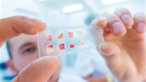 Study: Dried blood spot sampling provides greater access to antibody testing