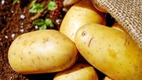 New campaign to highlight the versatility of potatoes