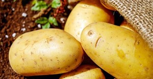 New campaign to highlight the versatility of potatoes