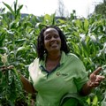 Meet the South Africans fighting food insecurity from the ground up