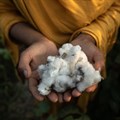 'Plastic-free' fashion is not as clean or green as it seems