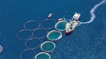 Aquaculture projects to create jobs
