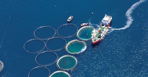 Aquaculture projects to create jobs