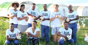 Checkers deal with Farmer Angus Eggs boosts black-owned regenerative agriculture