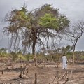 Climate change, migration and urbanisation: patterns in Sub-Saharan Africa