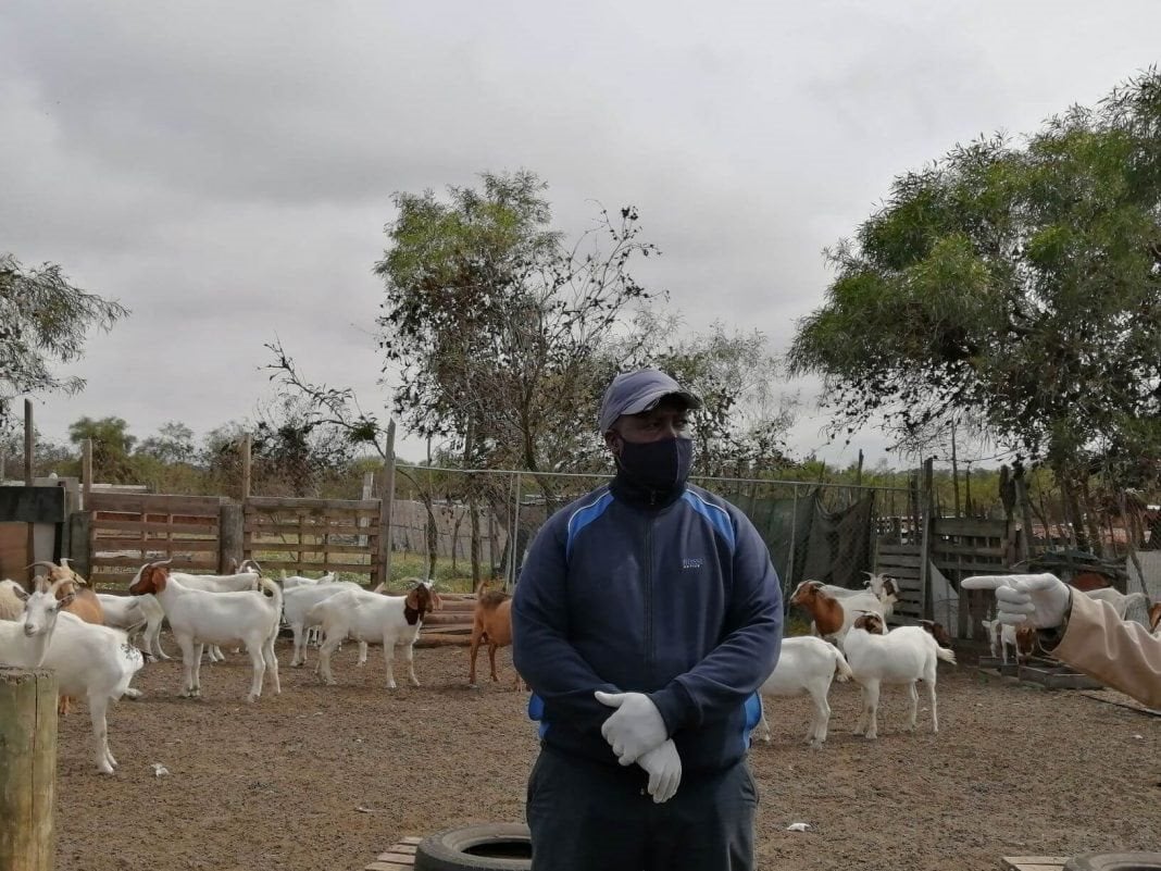 Goat farmer, Gideon Mgwaza listening attentively during the workshop.