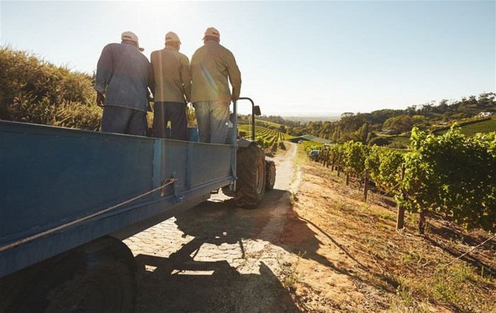 SA agricultural employment held up in Q3, but there are disparities across provinces