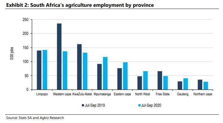 SA agricultural employment held up in Q3, but there are disparities across provinces