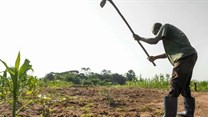 Boost smallholder phone access for better crop yields