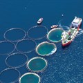 A balanced approach to ocean and inland aquaculture will nourish the world