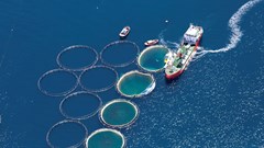 A balanced approach to ocean and inland aquaculture will nourish the world