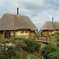 SANParks offers Black Friday 40% discount on online reservations