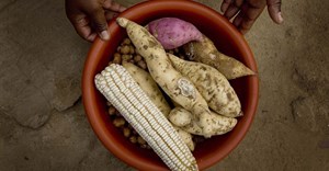 Collaboration needed to deliver food, nutrition security roadmap