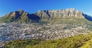 Metals from urban pollution are contaminating the last few old forests in Cape Town