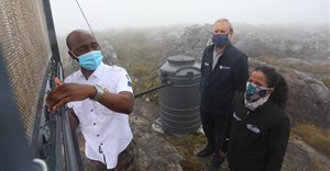 Cape Town launches fog harvesting pilot project on Table Mountain
