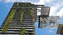 Green buildings can bring fresh air to design, but they can also bring pests