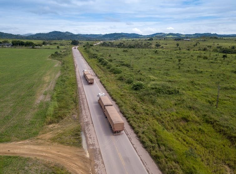 Trucks transporting soy pass denuded land in Brazil.