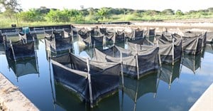 WorldFish, LVFO strengthen research ties boosting aquatic food availability in East Africa