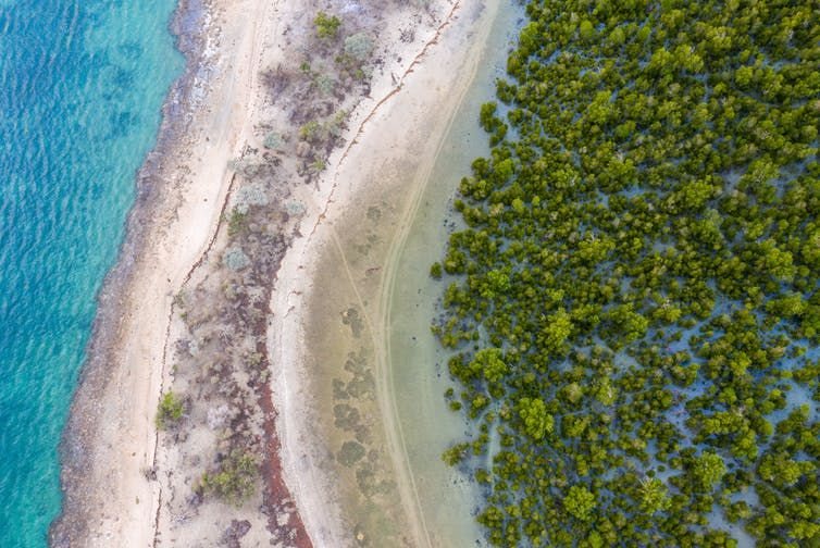 Mangroves, like these in Madagascar, provide a range of benefits, including protection from storms and the prevention of coastal erosion. (Louise Jasper/Blue Ventures), Author provided
