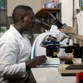 A laboratory technician patient samples at the Amudat Hospital, Uganda. Laboratories are central to the delivery of high quality data in clinical trials. Paul Kamau