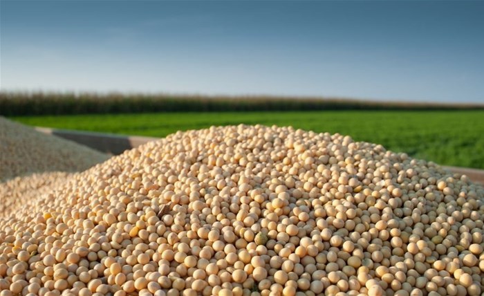 Cost of soybeans will remain high for South Africa's poultry industry