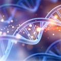 Any man-made changes to the human genome must be carefully regulated. Billon Photos/Shutterstock