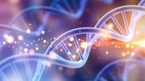 Any man-made changes to the human genome must be carefully regulated. Billon Photos/Shutterstock