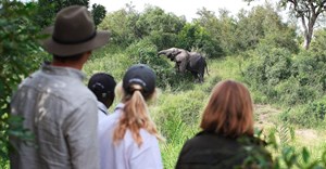 10 reasons why a family safari is one of the best escapes from Covid-19 right now