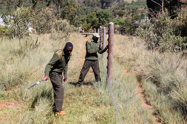 Kenya Forest Service rangers work to maintain an electrical fence surrounding the Eburru forest reserve, Kenya. Reuters/Baz Ratner