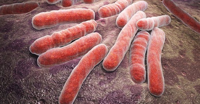 Study focuses on better approaches to interrupt TB transmission