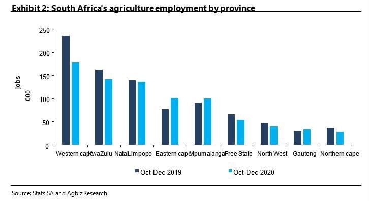 SA agricultural employment down 8% year-on-year in Q4