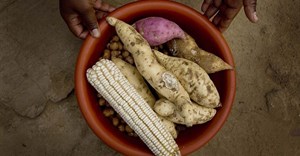 GFSI ranks SA first in food security in sub-Saharan Africa