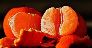 Department warns farmers of citrus disease