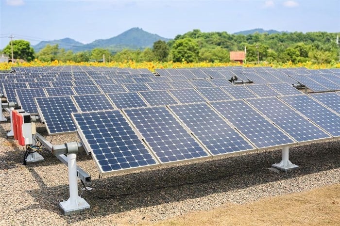 How the agri sector can reap the rewards of renewable energy solutions