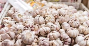 Pick n Pay caps gross profit margin for ginger and garlic