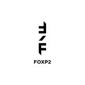FoxP2 shines at 2020 Creative Circle Ads of the Year ceremony